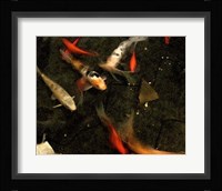 Goldfish Pond II Fine Art Print