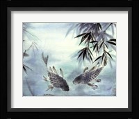 Koi Fine Art Print