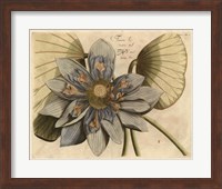 Blue Lotus Flower I Fine Art Print