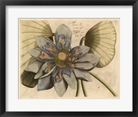 Blue Lotus Flower I Fine Art Print