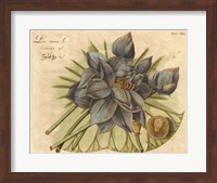 Blue Lotus Flower II Fine Art Print