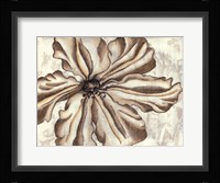 Fresco Flowerhead VI Fine Art Print