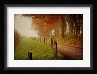 Foggy Morning on Hyatt Lane Fine Art Print