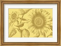 Golden Sunflowers I Fine Art Print