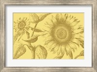 Golden Sunflowers I Fine Art Print
