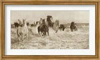 Horses Bathing Fine Art Print