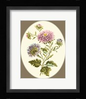 Antique Bouquet II Fine Art Print