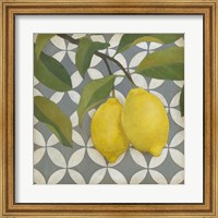 Fruit and Pattern I Fine Art Print