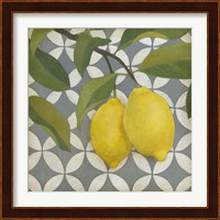 Fruit and Pattern I Fine Art Print