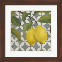 Fruit and Pattern I Fine Art Print