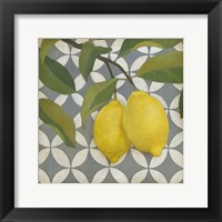 Fruit and Pattern I Framed Print