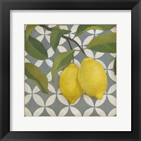 Fruit and Pattern I Fine Art Print