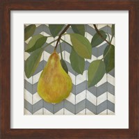 Fruit and Pattern II Fine Art Print