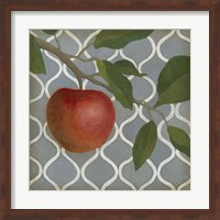 Fruit and Pattern III Fine Art Print