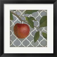 Fruit and Pattern III Framed Print
