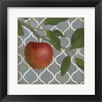Fruit and Pattern III Framed Print