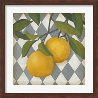Fruit and Pattern IV Fine Art Print