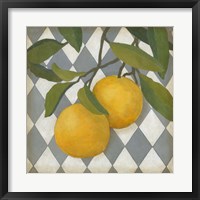 Fruit and Pattern IV Fine Art Print
