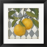 Fruit and Pattern IV Framed Print