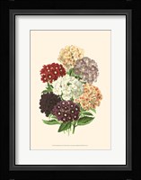 Bountiful Bouquet I Fine Art Print