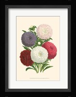 Bountiful Bouquet II Fine Art Print