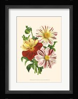 Bountiful Bouquet III Fine Art Print