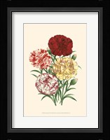 Bountiful Bouquet IV Fine Art Print