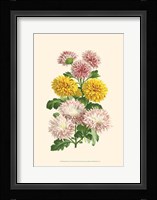 Bountiful Bouquet V Fine Art Print