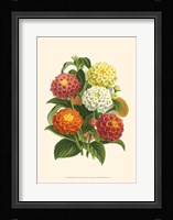 Bountiful Bouquet VI Fine Art Print