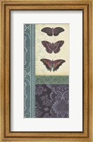 Butterfly Brocade I Fine Art Print