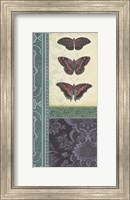 Butterfly Brocade I Fine Art Print