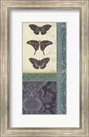 Butterfly Brocade II Fine Art Print