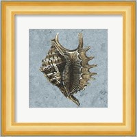 Stonewashed Shells V Fine Art Print