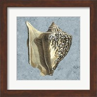 Stonewashed Shells VI Fine Art Print