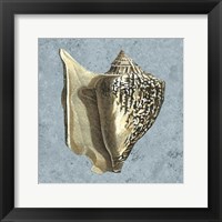 Stonewashed Shells VI Fine Art Print