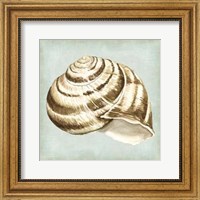 Sea Dream Shells I Fine Art Print