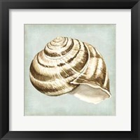 Sea Dream Shells I Fine Art Print