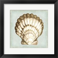 Sea Dream Shells III Fine Art Print