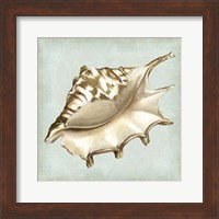 Sea Dream Shells IV Fine Art Print
