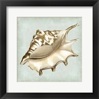 Sea Dream Shells IV Fine Art Print