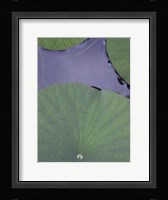 Lotus Detail X Fine Art Print