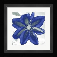 Indigo Star I Fine Art Print