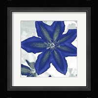 Indigo Star II Fine Art Print