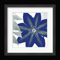 Indigo Star III Fine Art Print
