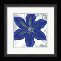Indigo Star IV Fine Art Print