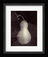 Gourd I Fine Art Print