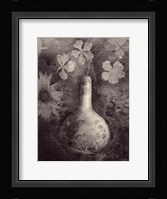Gourd II Fine Art Print