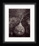 Gourd IV Fine Art Print