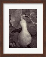 Gourd V Fine Art Print