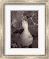 Gourd V Fine Art Print